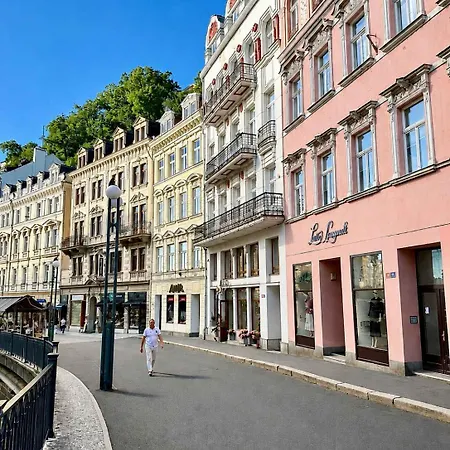 Elegant Near The Thermal Springs Karlovy Vary
